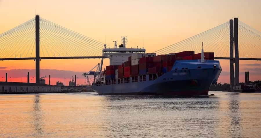 Savannah: Sunset Dolphin Watching Eco Tour by Boat - A two-hour look at Savannah’s river life