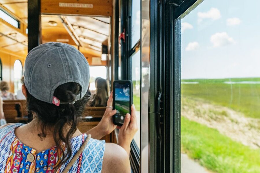 Savannah: Tybee Island Dolphin Tour - What the $74 price includes