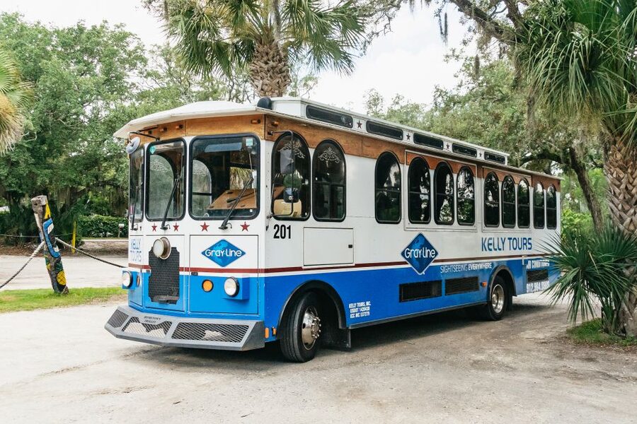Savannah: Tybee Island Dolphin Tour - Who will enjoy this Tybee outing most