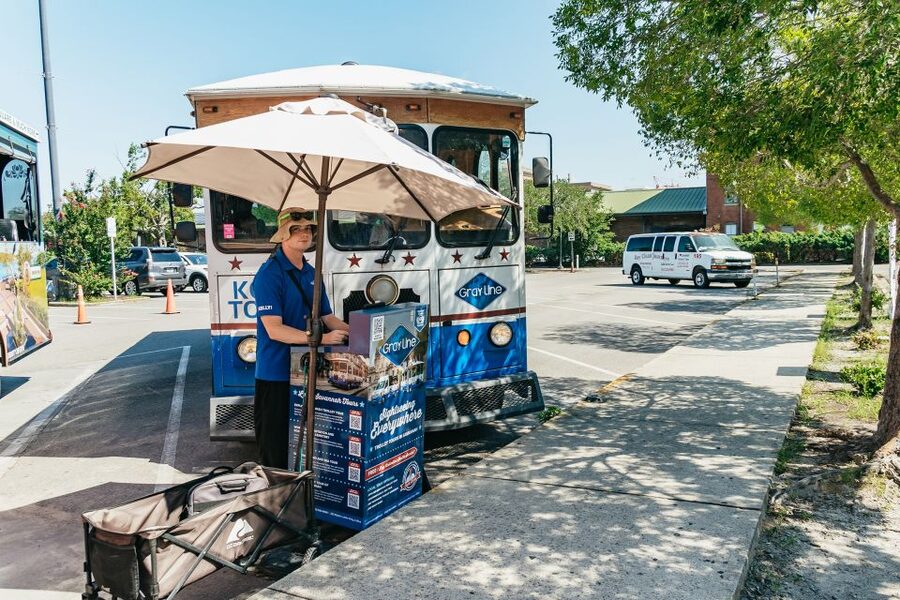 Savannah: Tybee Island Dolphin Tour - Should you book the Savannah dolphin tour?