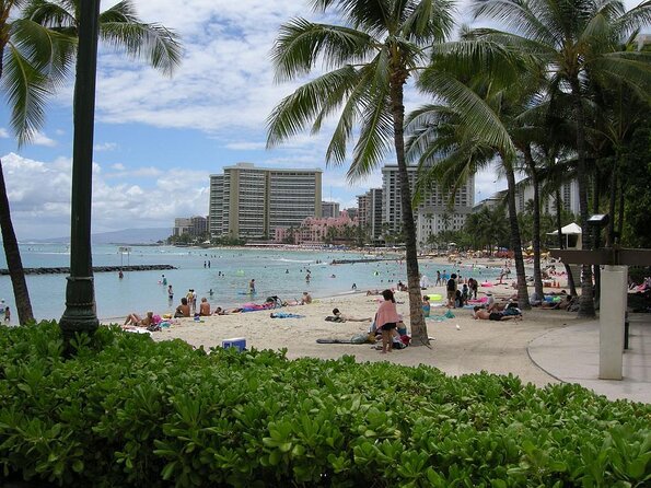 Sea Safari, Dolphins, Turtles and Waikiki Cruise - Key points to know before you book