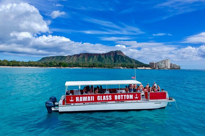 Sea Safari, Dolphins, Turtles and Waikiki Cruise - What this $46 cruise really offers