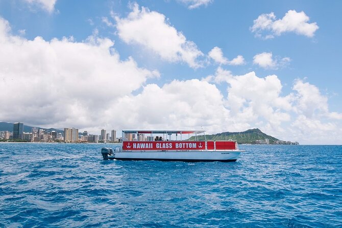 Sea Safari, Dolphins, Turtles and Waikiki Cruise - What you may see through the viewing ports
