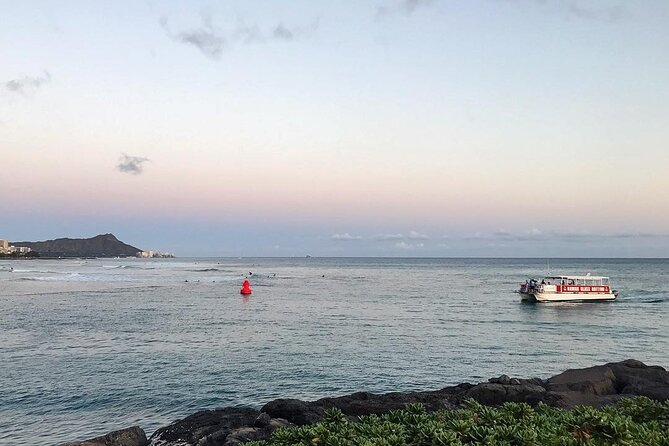 Sea Safari, Dolphins, Turtles and Waikiki Cruise - The crew can make a no-wildlife trip worthwhile