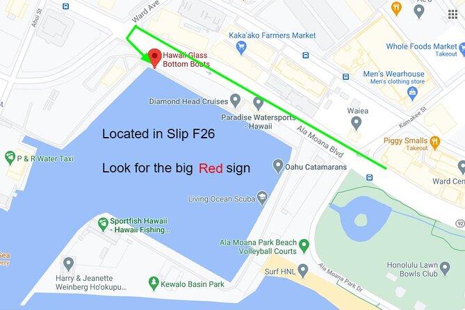 Sea Safari, Dolphins, Turtles and Waikiki Cruise - Weather, cancellations, and the practical fine print