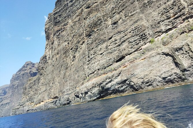 SEA SAFARI Dolphins, Whales, 3h speedboat DISCOVERY-TOUR - Sandwiches, Drinks, and What the Price Buys