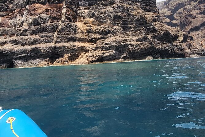 SEA SAFARI Dolphins, Whales, 3h speedboat DISCOVERY-TOUR - Is the 3-Hour Sea Safari Worth Booking?