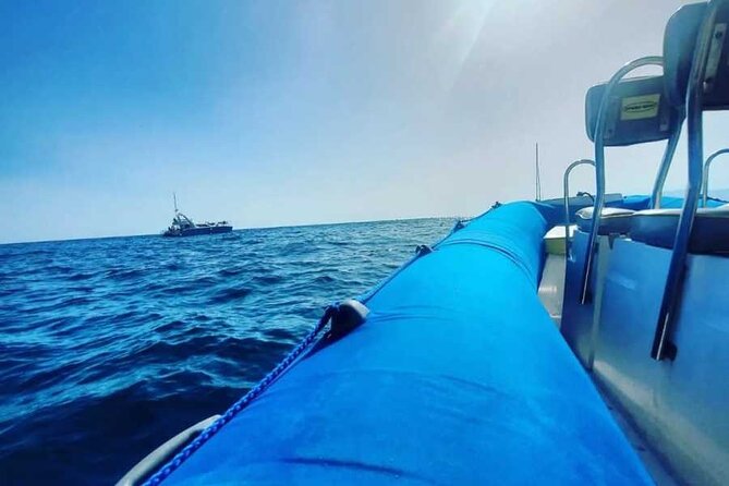 SEA SAFARI, Dolphins, Whales, snorkeling, snack and drink, 2 h speedboat - The Speedboat Ride Along Costa Adeje