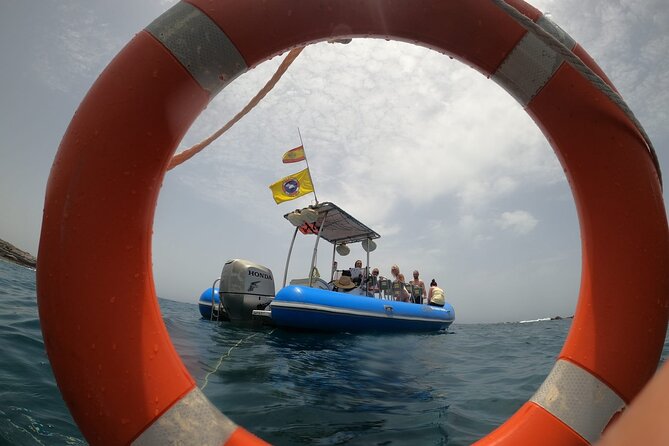 SEA SAFARI, Dolphins, Whales, snorkeling, snack and drink, 2 h speedboat - Starting at Av. de Colón in Costa Adeje