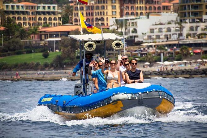SEA SAFARI, Dolphins, Whales, snorkeling, snack and drink, 2 h speedboat - Swimming and Snorkeling in the Atlantic