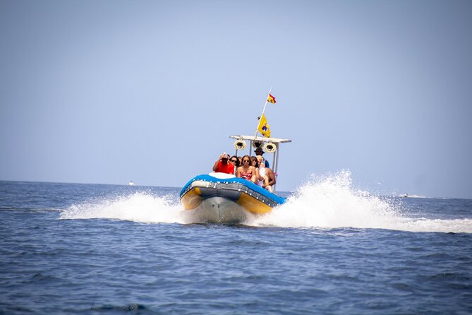 SEA SAFARI Dolphins,Whales, snorkeling, snack, drink, 3h private - Key points to know before you go