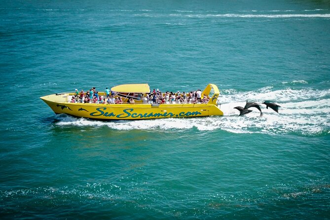 Sea Screamer Clearwater's Only Speed Boat Dolphin Watching - Clearwater Harbor Before the Gulf