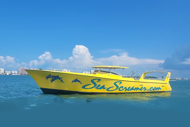 Sea Screamer Clearwater's Only Speed Boat Dolphin Watching - What the Speed Feels Like