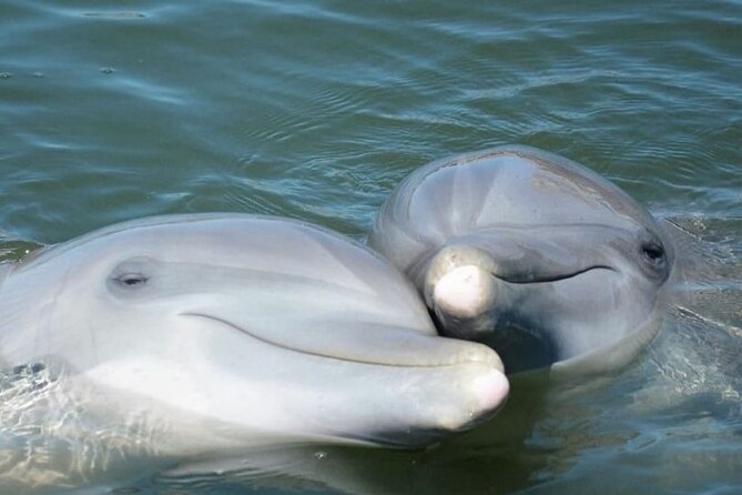 Sea Thunder Cruise-2 Hour Tour Surrounded by Dolphins in S.C - Is the 2-hour length good value?