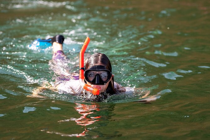 Sea Wonders Dolphin Watching and Snorkeling in Muscat - Key points to know before you book