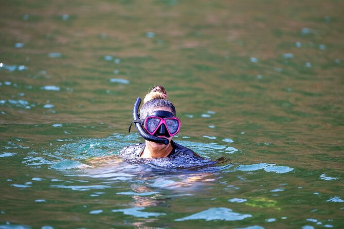Sea Wonders Dolphin Watching and Snorkeling in Muscat - Snorkeling in the Arabian Sea