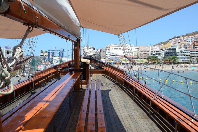 Sealife Dolphin & Whale Watching aboard Portuguese schooner - Key points to know before sailing