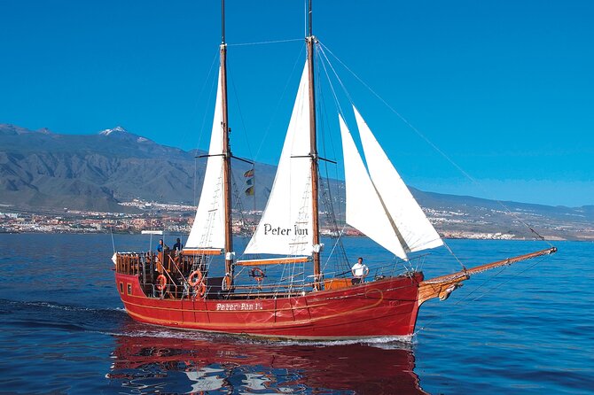 Sealife Dolphin & Whale Watching aboard Portuguese schooner - Returning to Puerto Los Cristianos