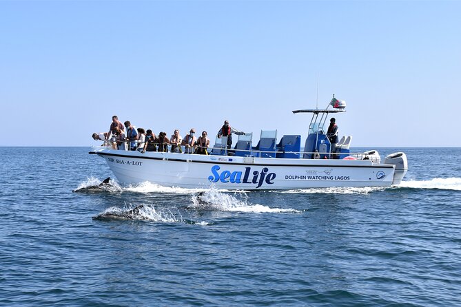 Sealife Sea Safari, Dolphin Watching with Marine Biologist's Lagos - Quick points about the Lagos dolphin trip