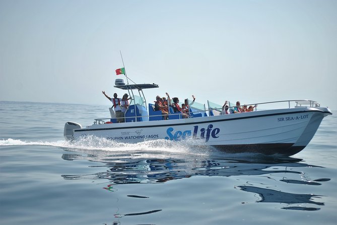Sealife Sea Safari, Dolphin Watching with Marine Biologist's Lagos - Setting out from Lagos Marina