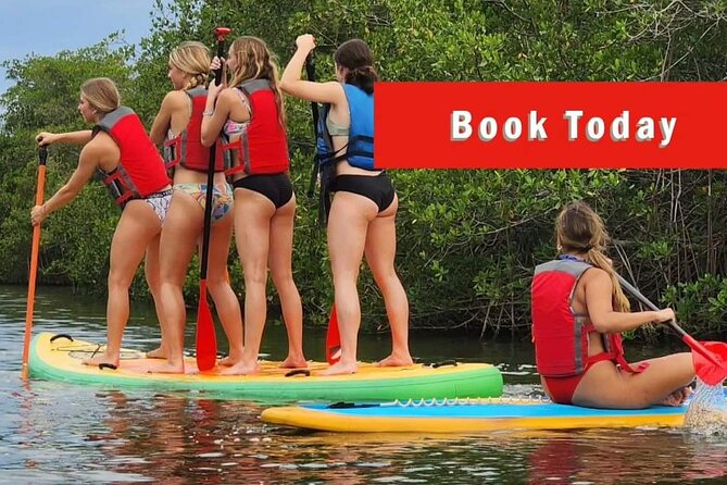 Self-Guided Kayaking Manatee and Dolphin Tour - What the $55 rental really gives you