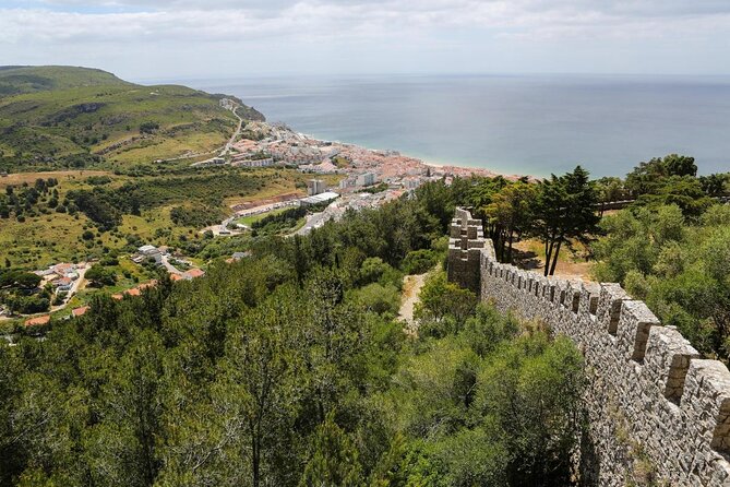 Sesimbra: Arrábida Dolphin and Whale Watching tour with biologist - Key things to know before you book