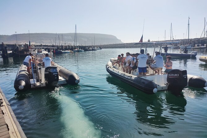 Sesimbra: Arrábida Dolphin and Whale Watching tour with biologist - Searching Arrábida Marine Park for whales and dolphins