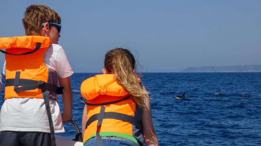Sesimbra: Arrábida Dolphin and Whale Watching with Biologist - Who will enjoy this trip most