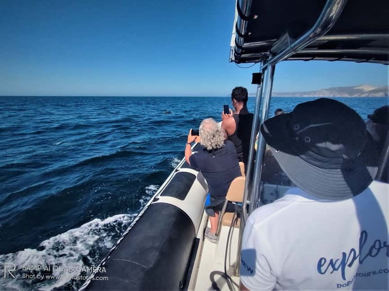 Sesimbra: Dolphin and Whales Watching with Biologist Guide - What the biologists add to the experience