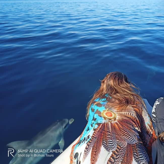 Sesimbra: Dolphin and Whales Watching with Biologist Guide - Is $64 a fair price?