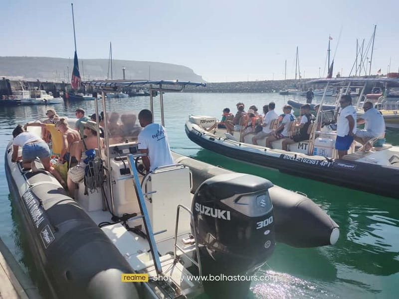 Sesimbra: Dolphin and Whales Watching with Biologist Guide - Searching for dolphins off the Arrábida coast