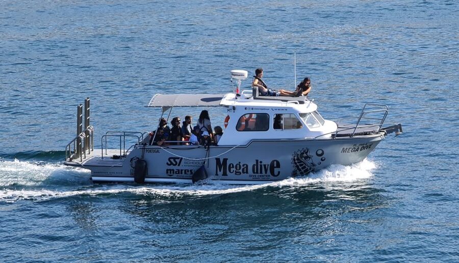 Sesimbra: Dolphin Watching with a marine biologist - Setting out from Sesimbra’s harbor