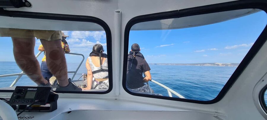 Sesimbra: Dolphin Watching with a marine biologist - Dolphin etiquette and responsible viewing