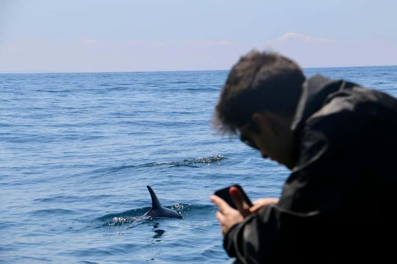Sesimbra: Dolphin watching with marine biologist - The crew makes the difference