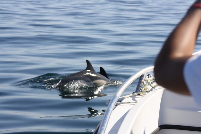 Sesimbra Observation of Dolphins with Biologist in Marine Park - Caves, beaches, and the possible swim stop
