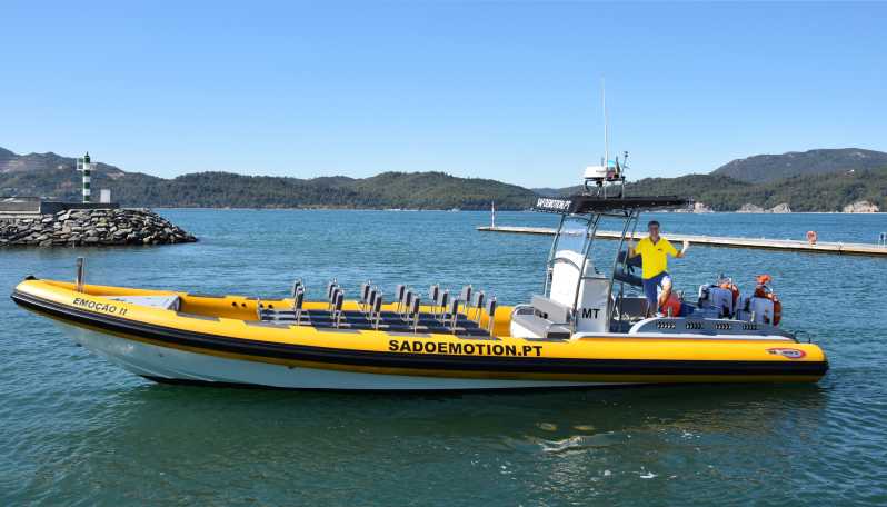 Setúbal and Tróia: Dolphin Watching and Arrábida Bays - Key points to know before you book