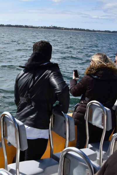 Setúbal and Tróia: Dolphin Watching and Arrábida Bays