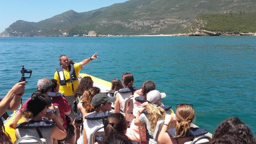 Setúbal and Tróia: Dolphin Watching and Arrábida Bays - A respectful way to watch the dolphins