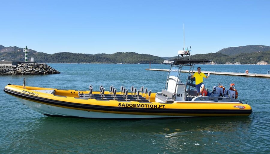 Setúbal and Tróia: Dolphin Watching and Arrábida Bays - Is $53 a fair price for two hours?