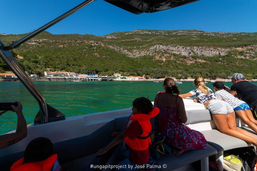 Setúbal: Dolphin Watching Boat Tour - Key points to know before you book