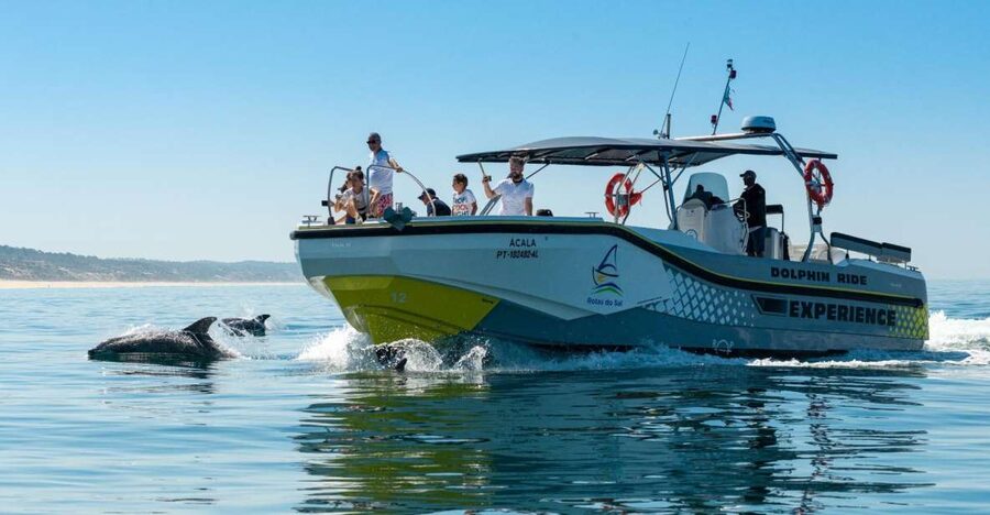Setúbal: Dolphin Watching Boat Tour - The Arrábida shore and the ride back