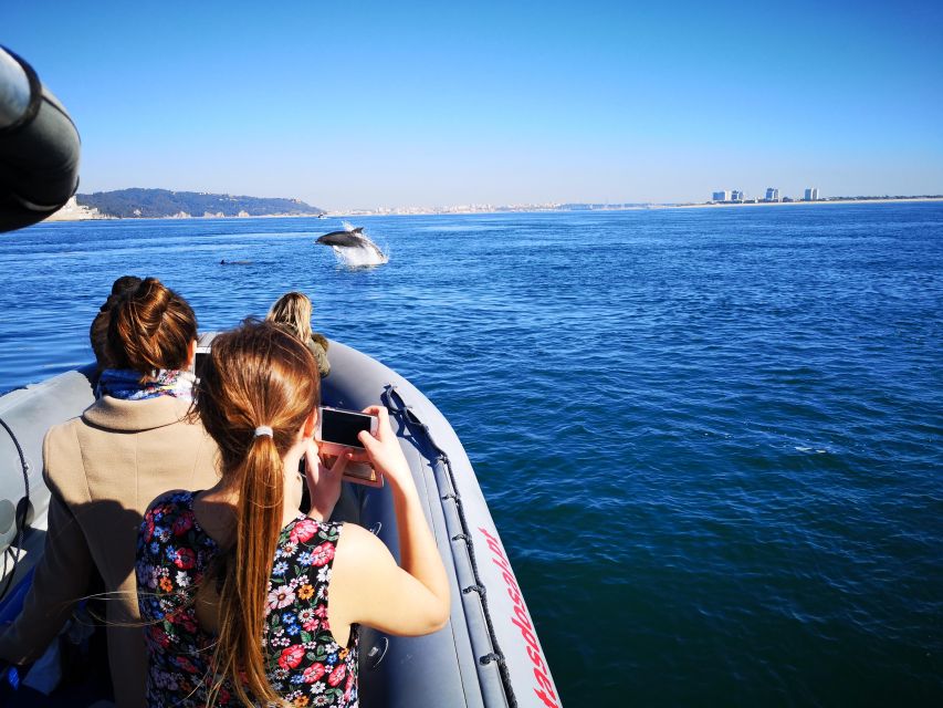 Setúbal: Dolphin Watching Boat Tour - Who will enjoy this boat tour most?