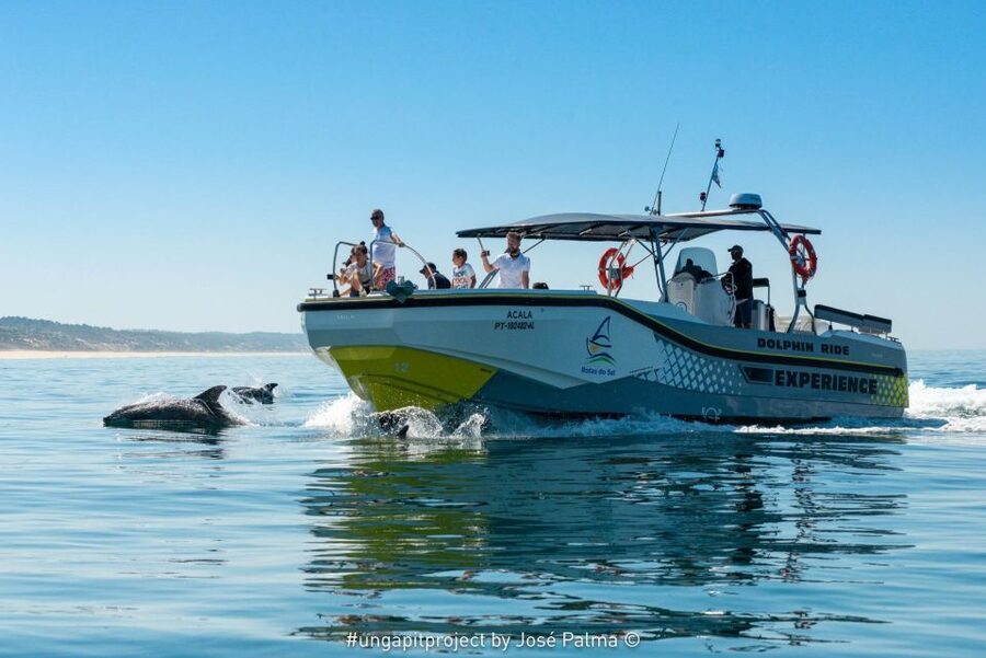 Setúbal: Dolphin-Watching Boat Tour - The Arrábida coast, beach by beach