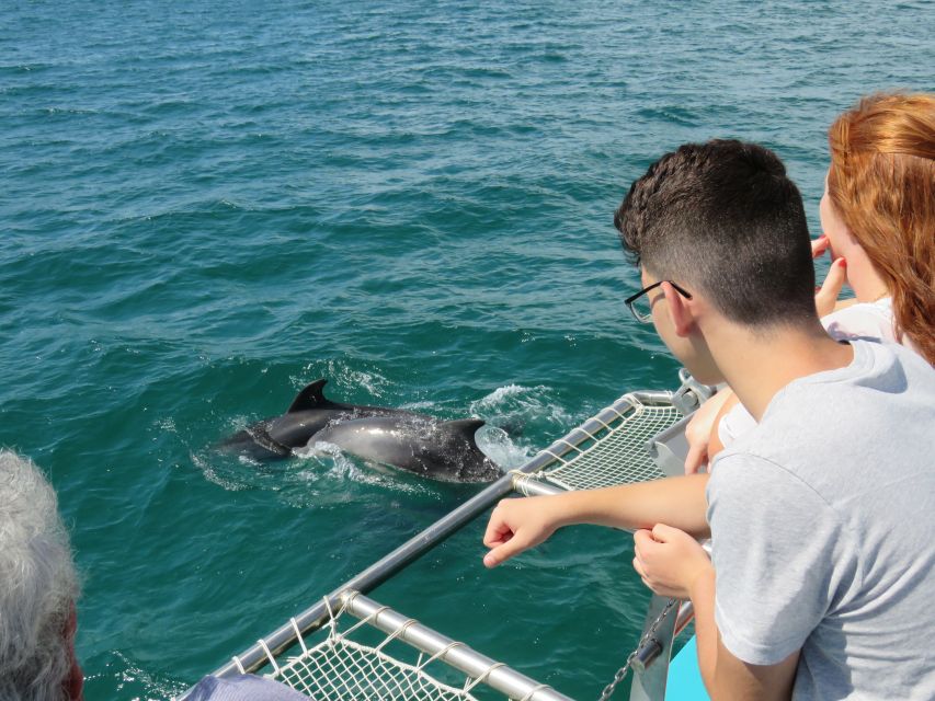 Setúbal: Dolphin Watching Tour - Arrábida Mountain and the changing coastal view