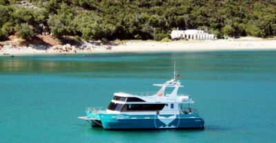 Setúbal: Dolphin Watching Tour
