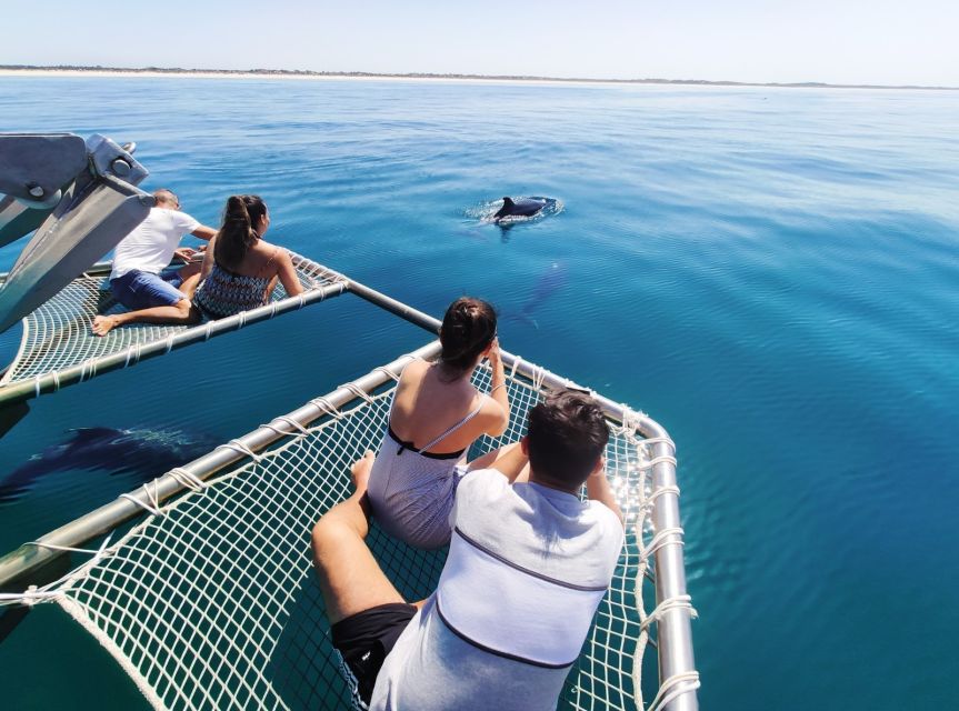 Setúbal: Dolphin Watching Tour - Is $53 a fair price?