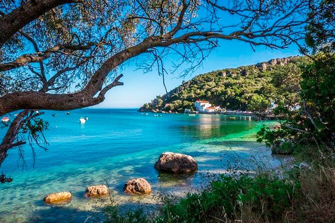Setúbal Private Tour - Including Dolphin Watching - Three hours aboard Vertigem Azul