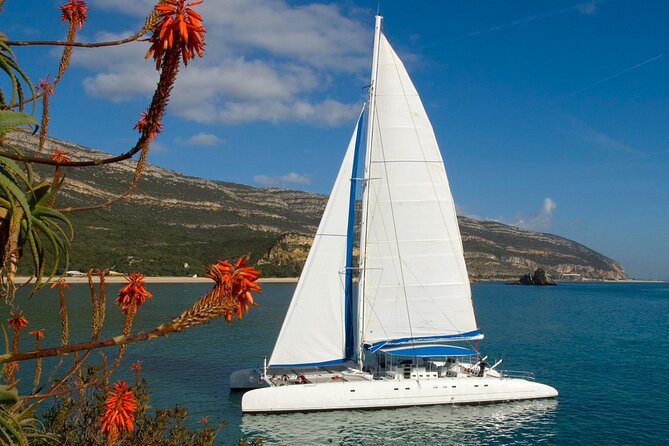 Setúbal Private Tour - Including Dolphin Watching - Who will enjoy this full-day outing