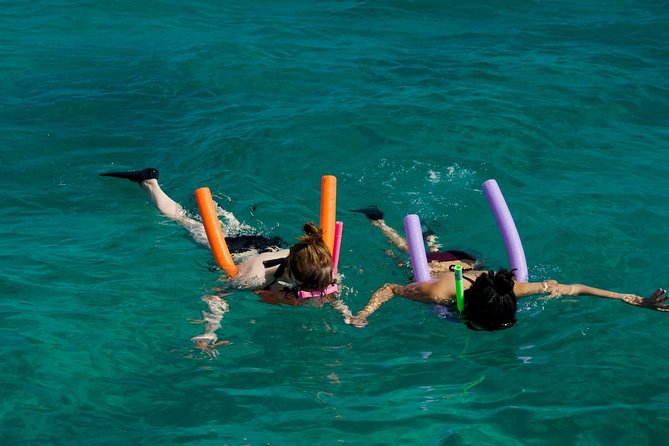 Shallow Water Snorkeling and Dolphin Watching in Key West - What the four-hour Echo trip is really like