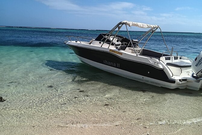 Shared 10 Pax Boat Tour: Dolphin Watching, Snorkelling and BBQ - Should you book the dolphin and BBQ tour?